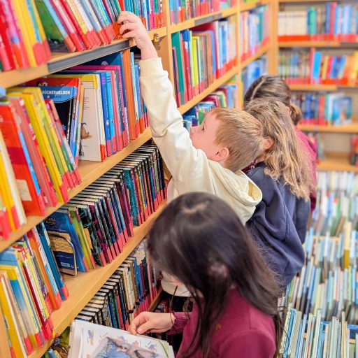 05a50a62-c0cc-41d6-a266-ba82faca51bc