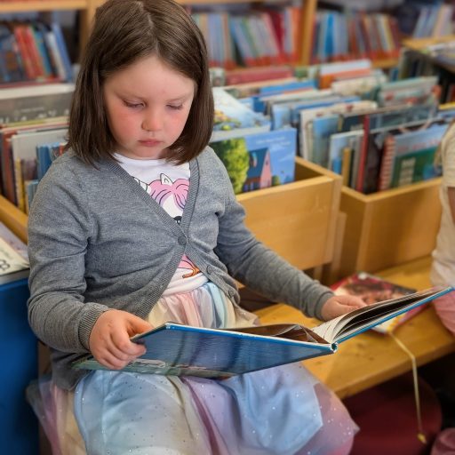 1bd228d2-73aa-4df2-8be3-da1a69720297