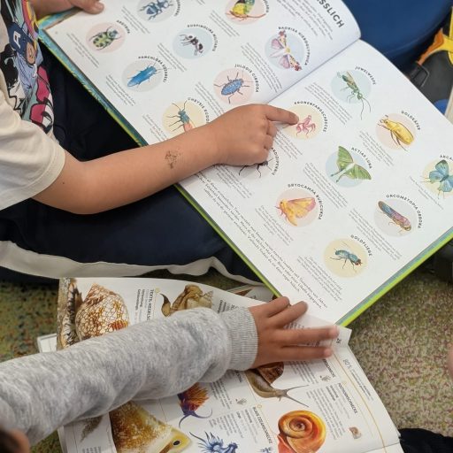 4cd98ff4-d907-4fd4-94cf-20de83cf1a67