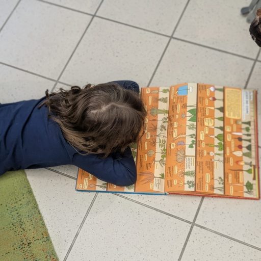 c2f22518-33ef-4636-bcca-7ce8b3535c94